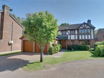 Picture 31
